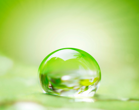 Rug Cleaning Tampa Valrico Brandon Sun City Center Ruskin